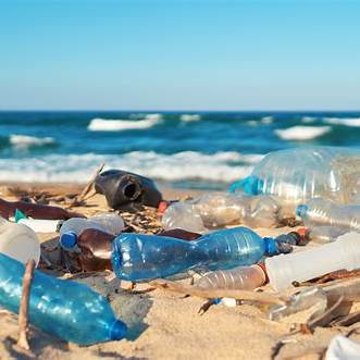 A few bottles on the beach multiplied, creates death and destruction.